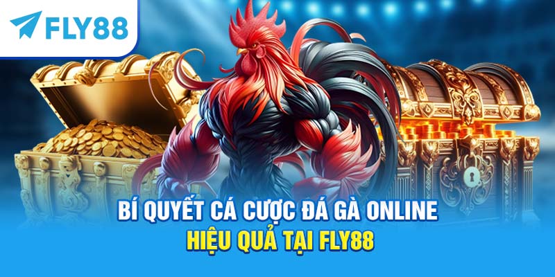 Cá Cược Đá Gà Online – Hướng Dẫn Chơi, Kinh Nghiệm Thắng Lớn 4 Bí quyết cá cược đá gà online hiệu quả tại Fly88