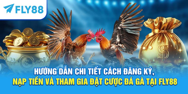 Cá Cược Đá Gà Online – Hướng Dẫn Chơi, Kinh Nghiệm Thắng Lớn 3 Hướng dẫn chi tiết cách đặt cược đá gà tại Fly88