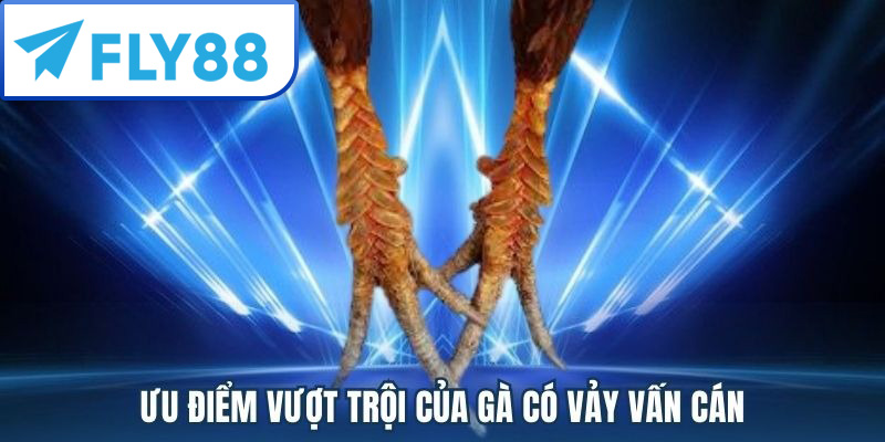 Vảy gà vấn cán có những ưu điểm vượt trội